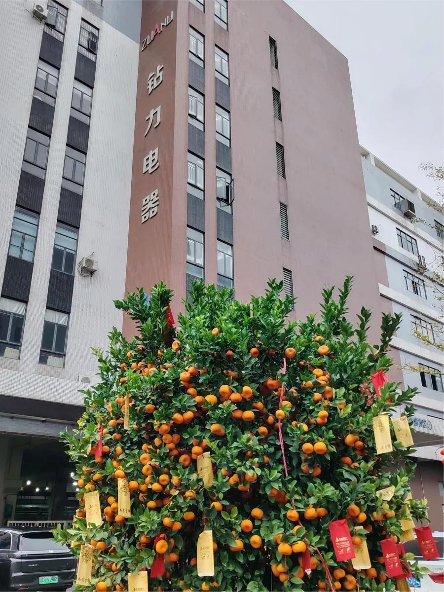 Pierwsza dostawa po chińskim Nowym Roku: Pompy odwróconej osmozy o wysokim momencie obrotowym Ruszaj na rynek zagraniczny – pompa zuanli ro!